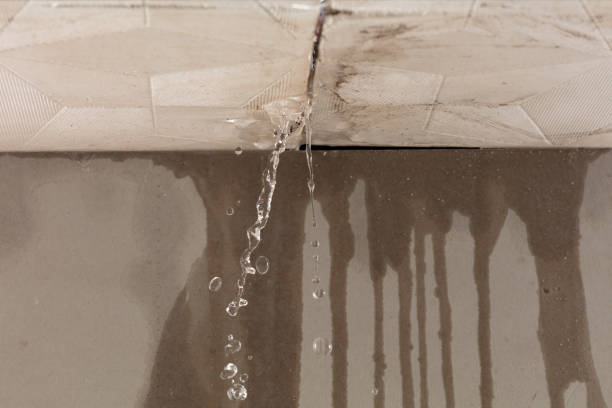 Professional Structural Drying technician working in Milton, GA